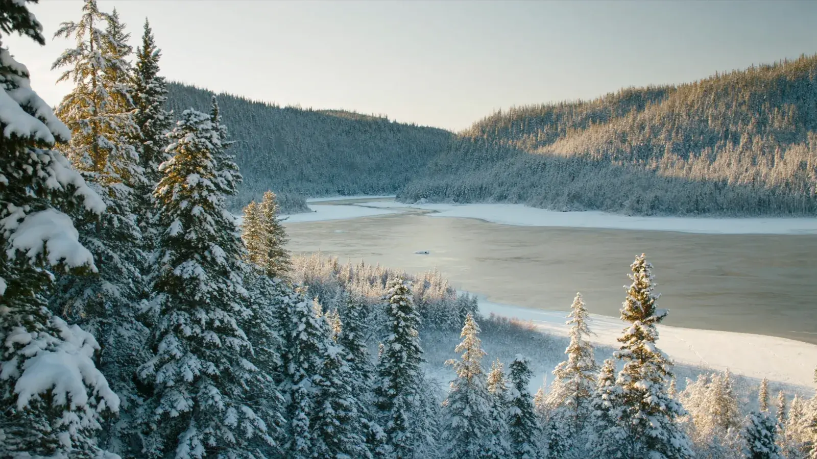 Forêt boréale enneigée en Mauricie l'hiver